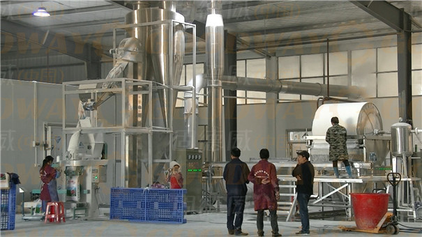 創建淀粉加工廠都包括哪些方面的資金投入？