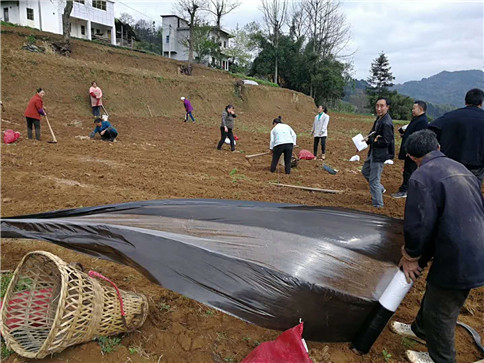 田間地頭指導工作2.jpg